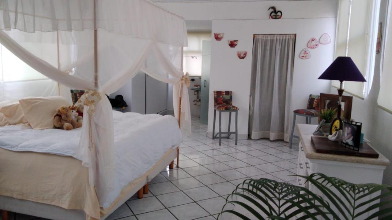 Boutique Basic Hotel Puerto Vallarta Exterior photo